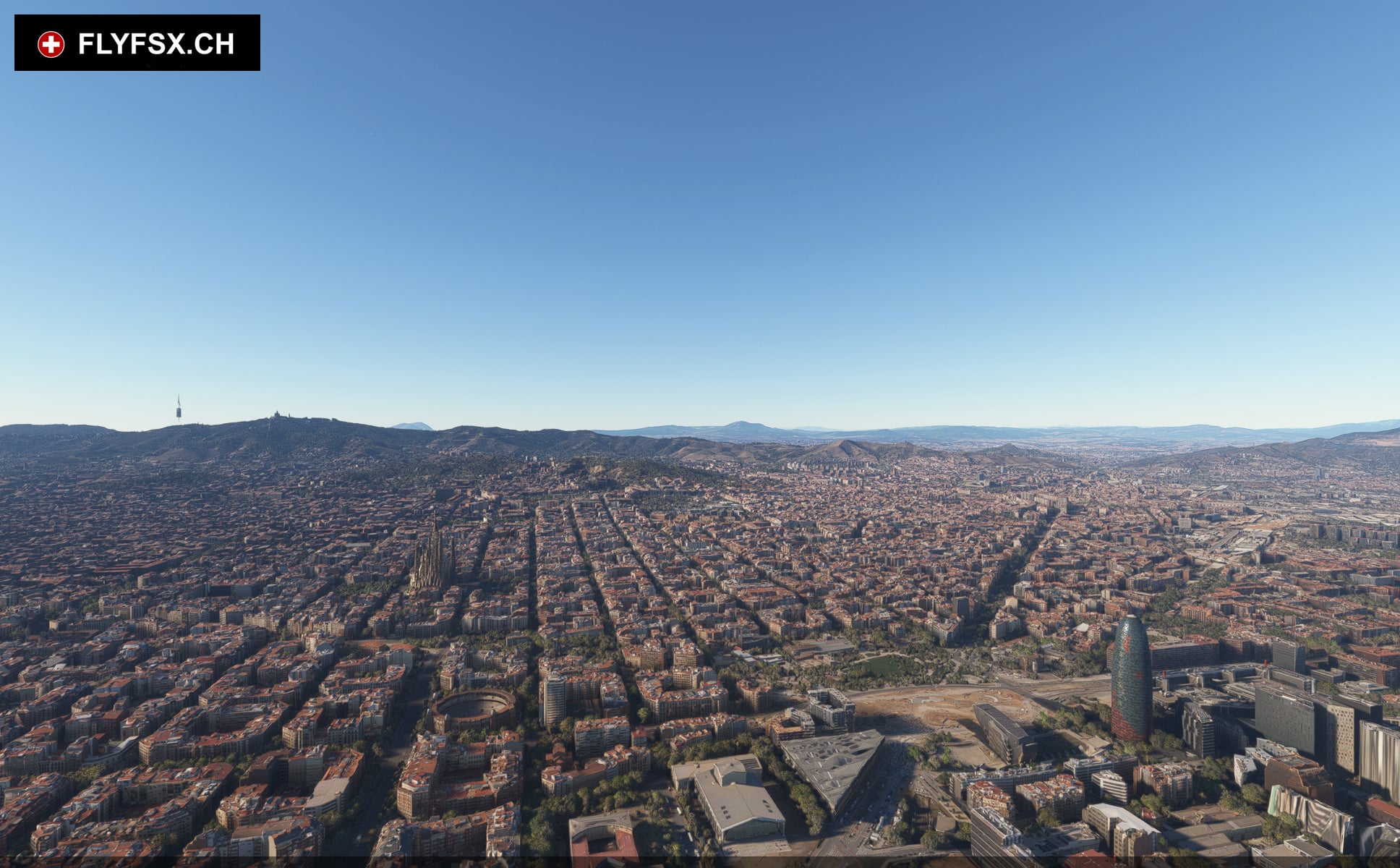 FLYFSX - Flugsimulator - Flight Simulator -  Rüchligweg 55 - 4125 Riehen - Basel - Baden - Aarau - Zürich - Schweiz - Lörrach - Freiburg - Deutschland. 