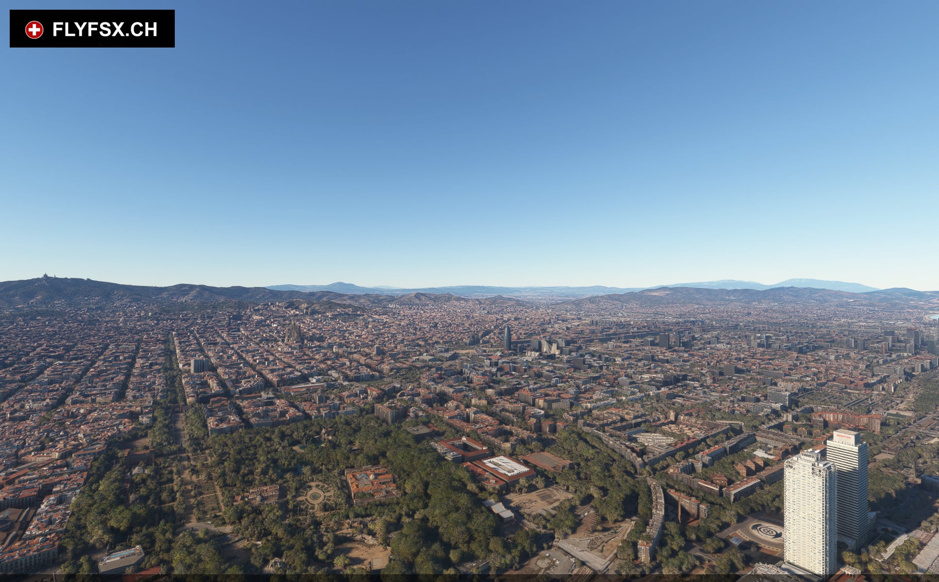 FLYFSX - Flugsimulator - Flight Simulator -  Rüchligweg 55 - 4125 Riehen - Basel - Baden - Aarau - Zürich - Schweiz - Lörrach - Freiburg - Deutschland. 